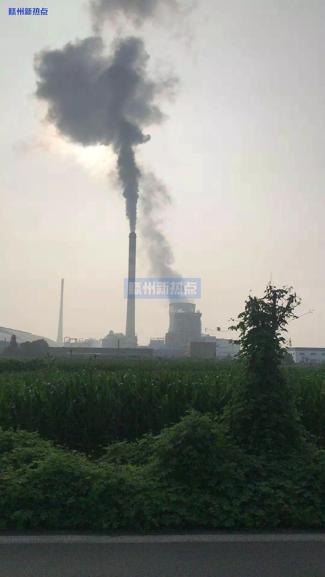 滕州大同国际最新动态更新