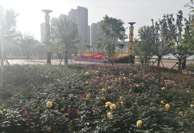 焦作沁泉湖最新动态，科技焕新湖泊魅力，畅享未来生活体验