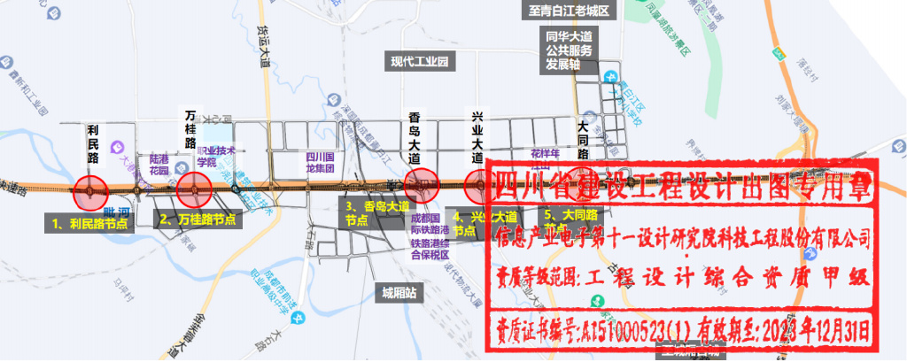 成金青快速路最新动态，日常趣事与情感纽带揭秘