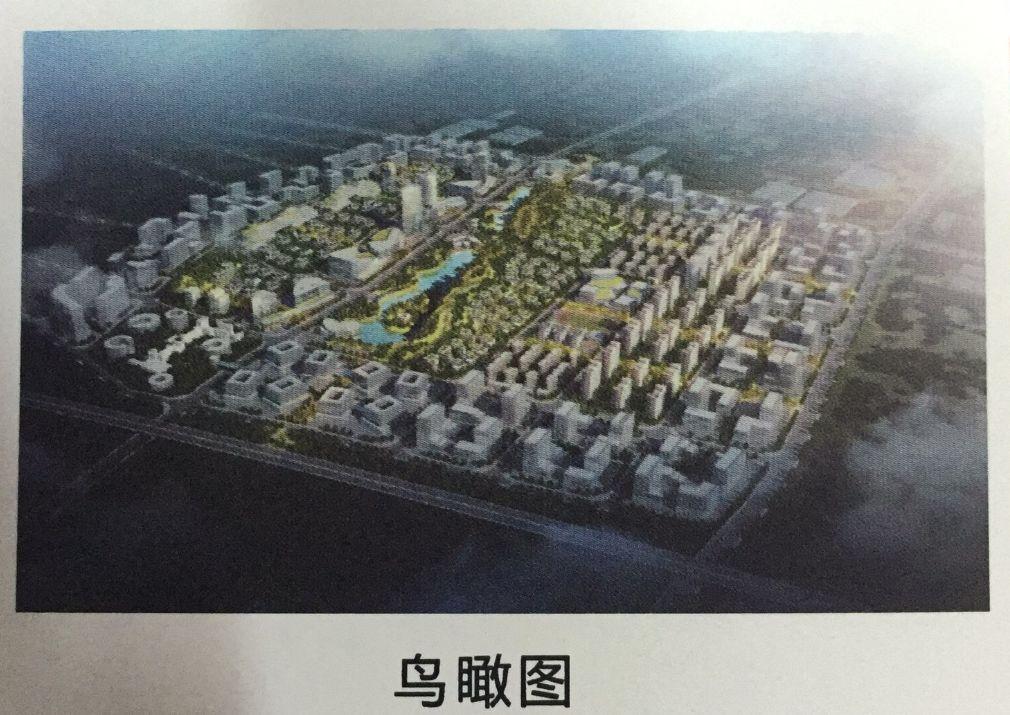 东城区六号地最新动态揭秘，全方位了解与参与的步骤指南