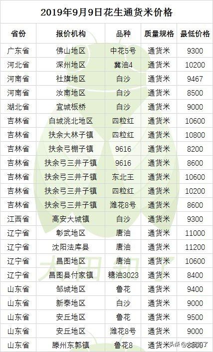 河南花生价格最新行情深度解析，回顾与洞察市场动态