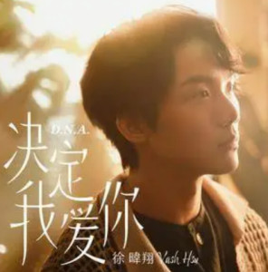 我爱你爱你爱我电视剧深度解析与探讨，爱的多重维度探索