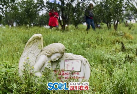 北京宠物墓地价格大全