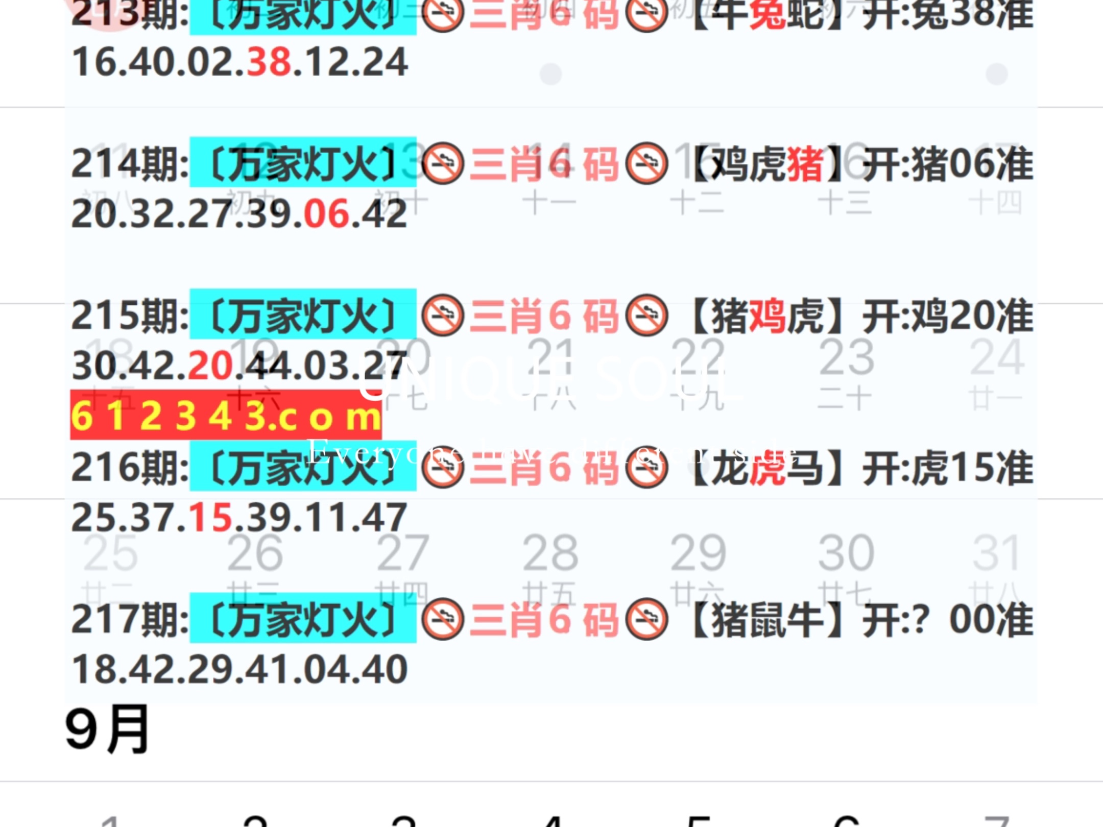 新奥2024一肖一码,定量解析解释法_万能版56.723