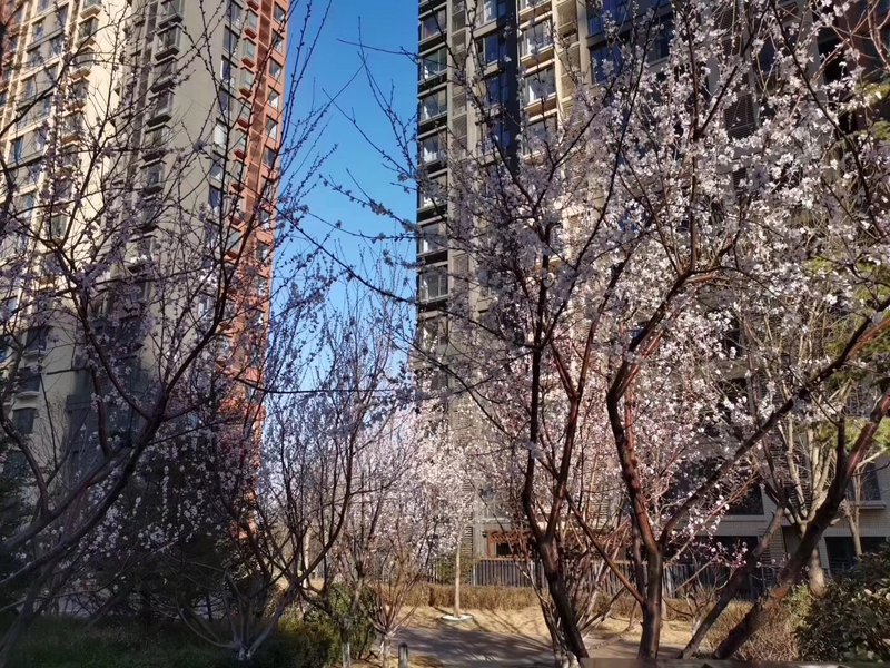 燕郊房价最新动态，自然美景探索之旅的居住选择