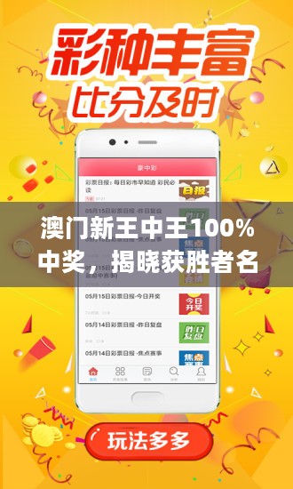 新澳门王中王100%期期中,安全保障措施_珍藏版10.355