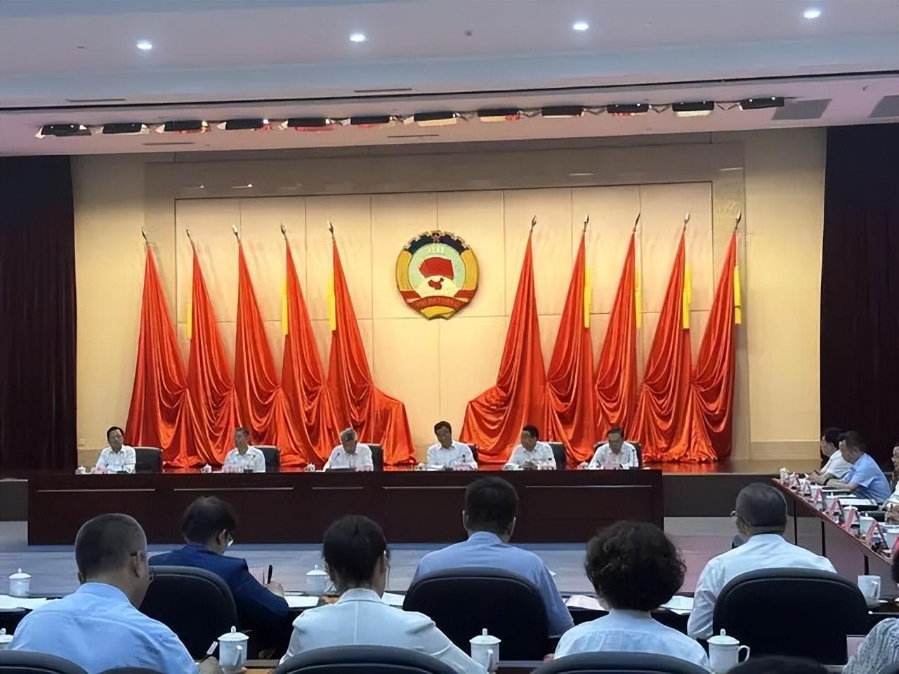最新资讯快报，爱的纽带与温馨日常趣事分享