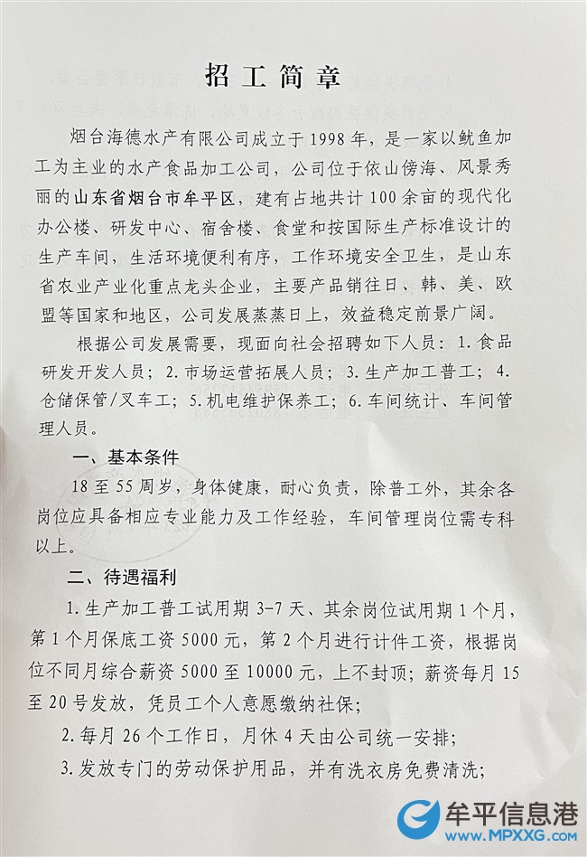 今日平邑招聘资讯，小巷深处的独特风味——探索隐藏的小店