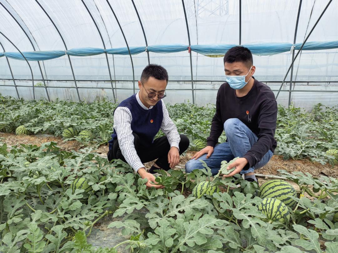 六安城南最新房价查询指南，步骤与价格详解