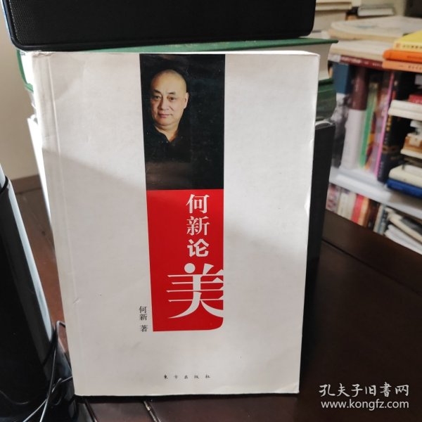 何新最新文章，时代之声的激荡与回响评析