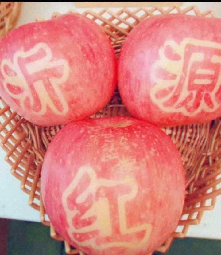 沂源苹果行情，甜蜜日常中的瞩目焦点