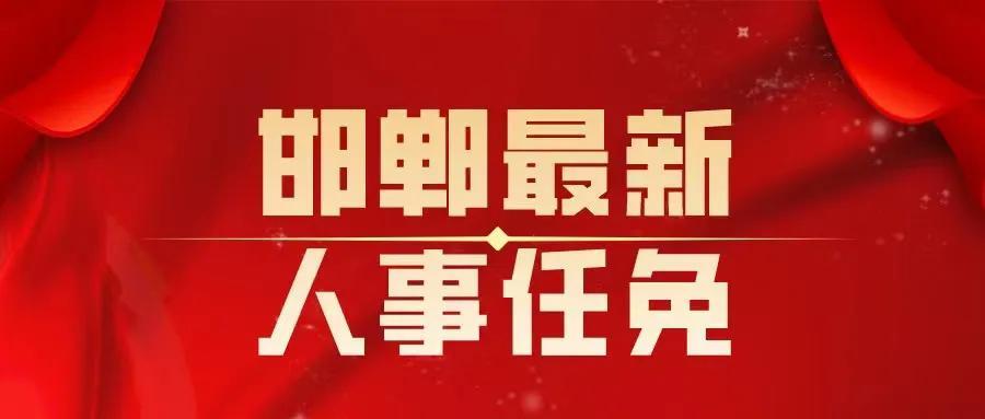 邯郸市人事任免最新公告与探寻小巷独特风味小店的惊喜发现