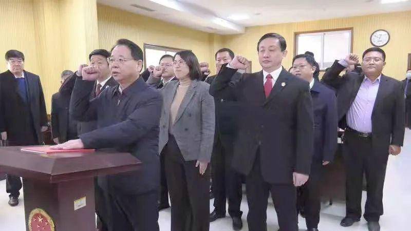 莘县最新任命，深度解析及观点阐述