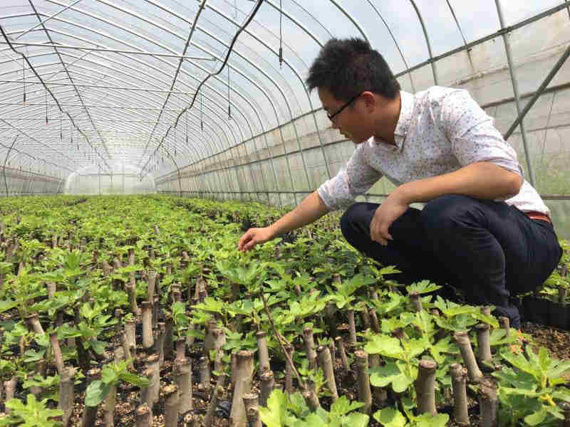 农农最新美图欣赏，稻田里的璀璨瞬间 🌾✨