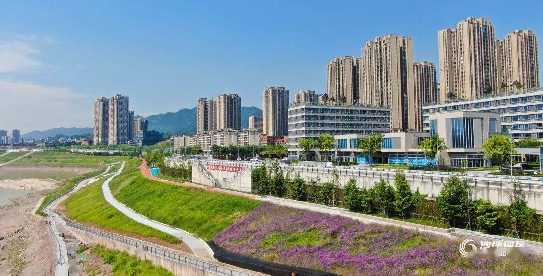 鱼洞大中村最新动态更新