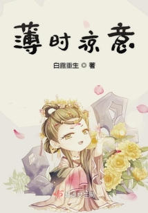 雷心宝薄寒初最新章节深度解析与探讨